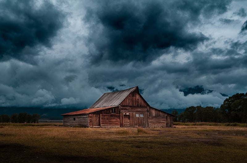 Timeless Landscapes